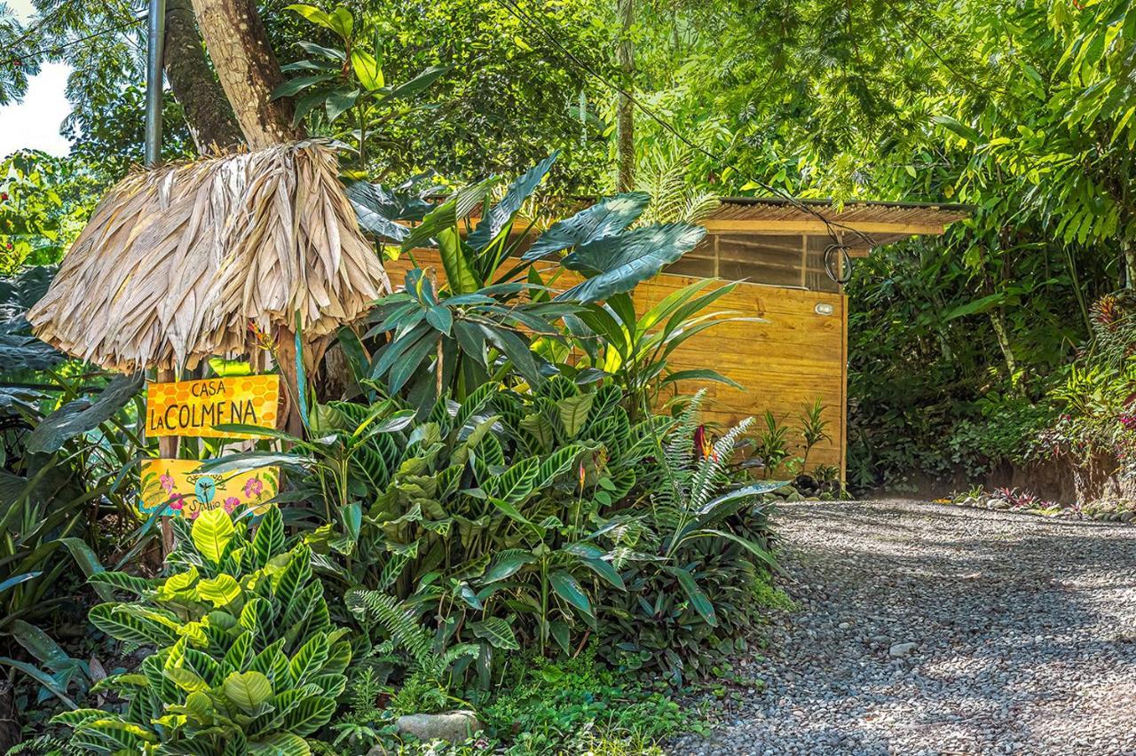 Bee Happy Studio Cahuita Exterior photo