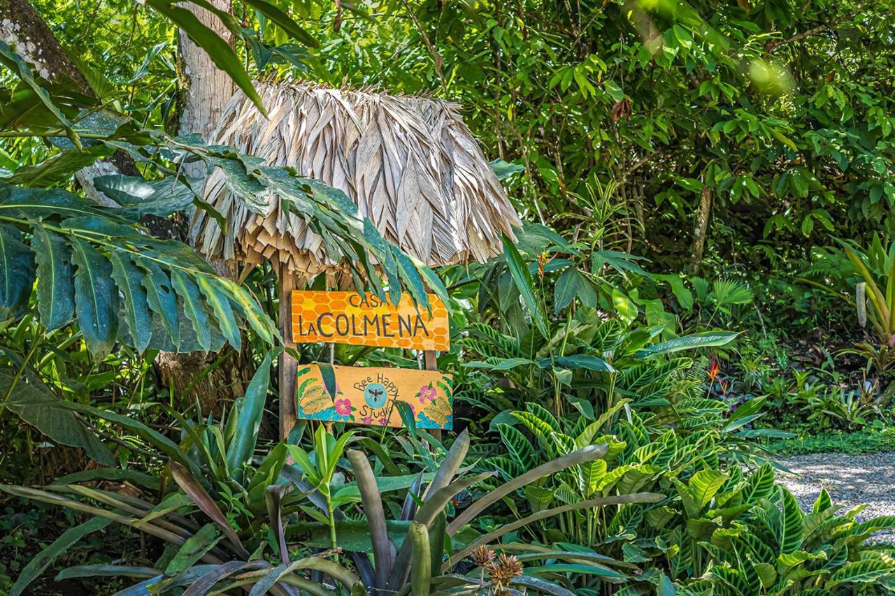 Bee Happy Studio Cahuita Exterior photo