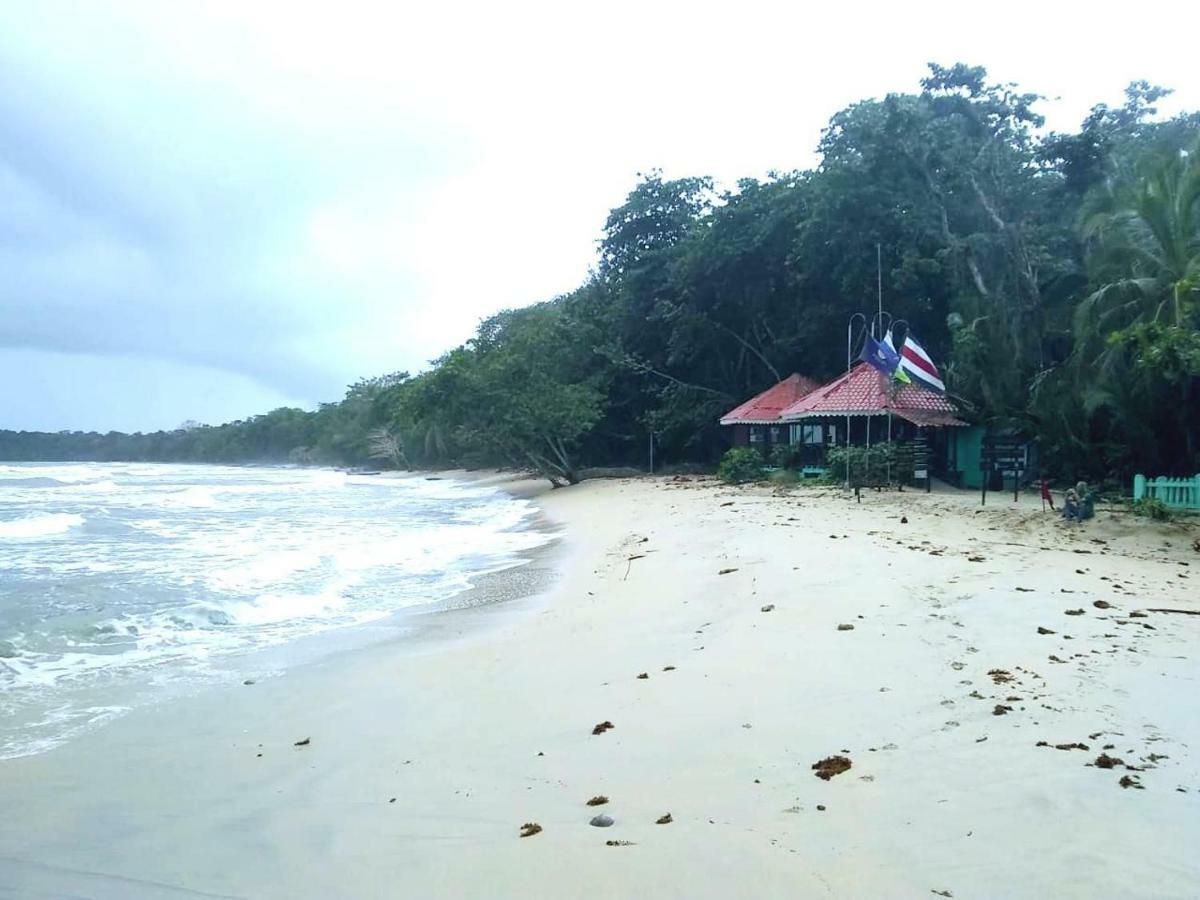 Bee Happy Studio Cahuita Exterior photo